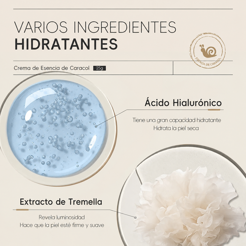 LAIKOU Crema de Esencia de Caracol